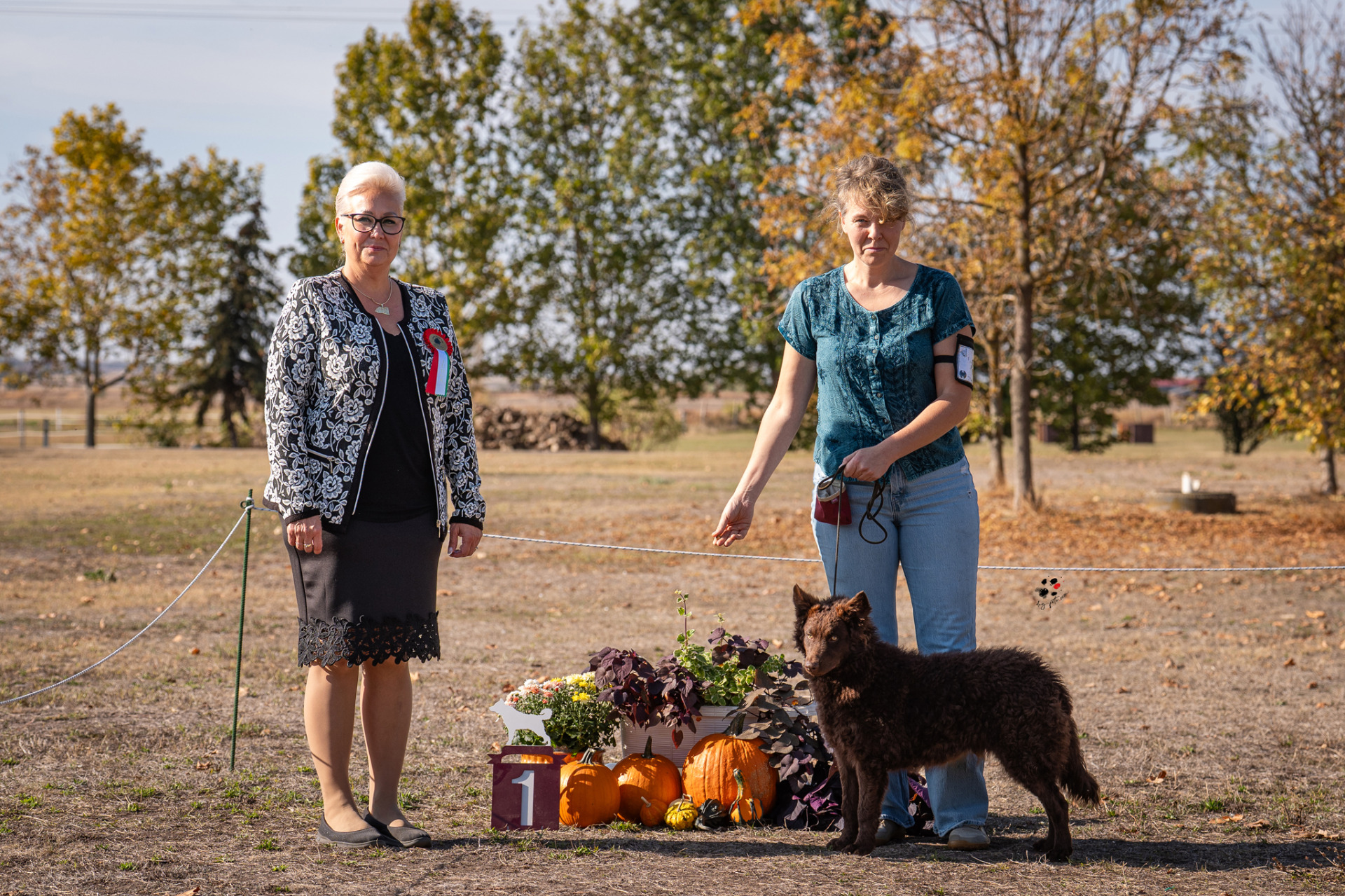 Bonum et Malum Rókagomba ni., Best Puppy T.: Kovács Amarilla t: Eva Jankovic