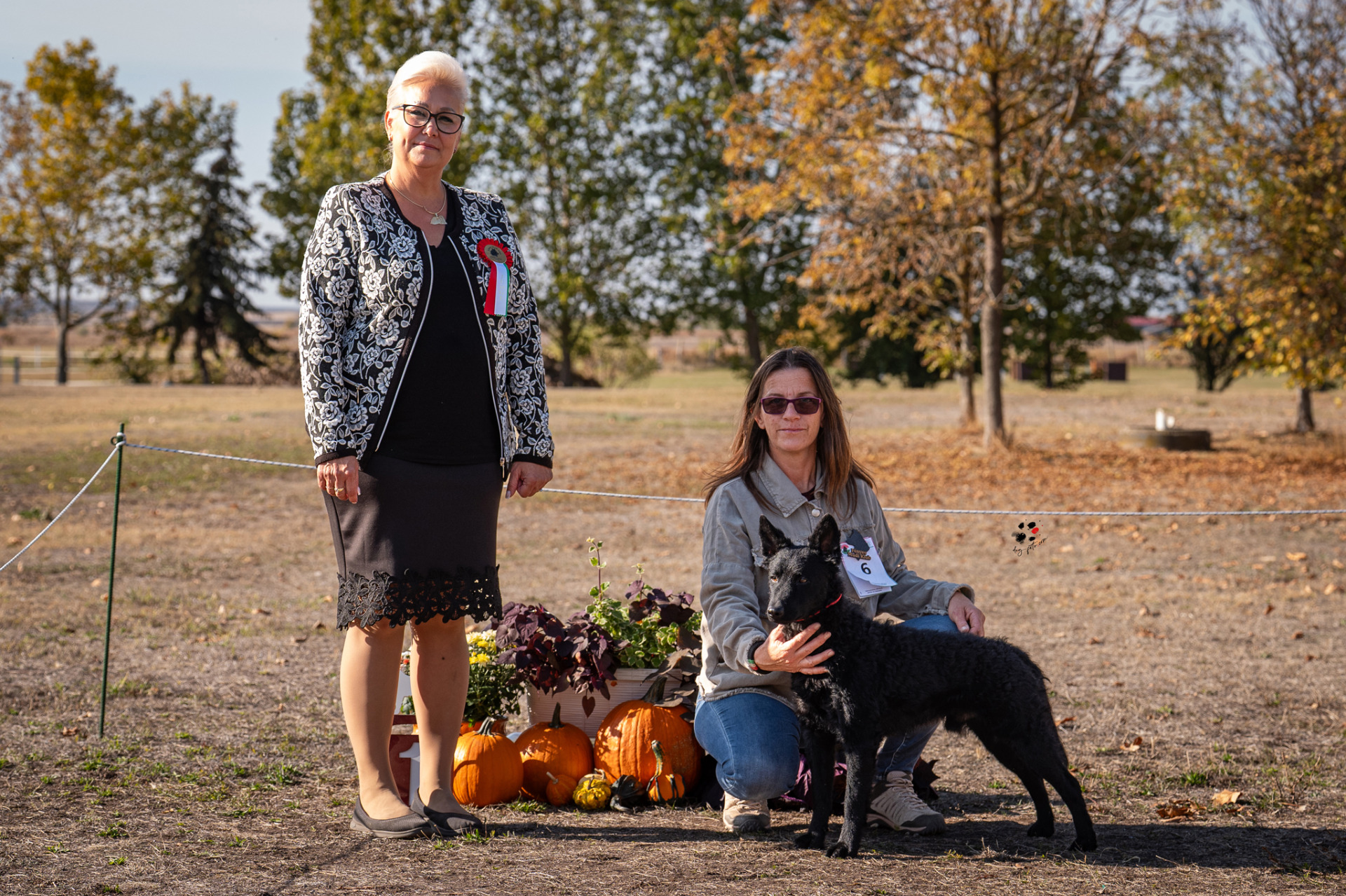McPotter''s Creek's Wattson HPJ, Best Junior T. Dr Kaszás Emese t.Kaczagány Rita