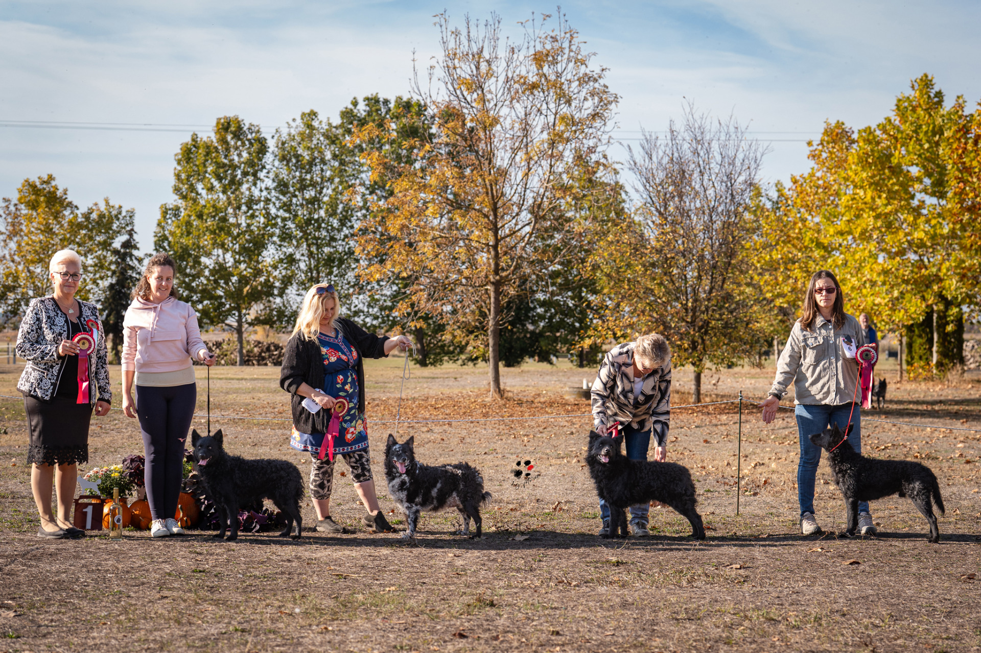 Senior Handler: I.Spátay Anna, II. Wagner Elizabeth, III.László Zsuzsanna, IV. Kaczagány Rita
