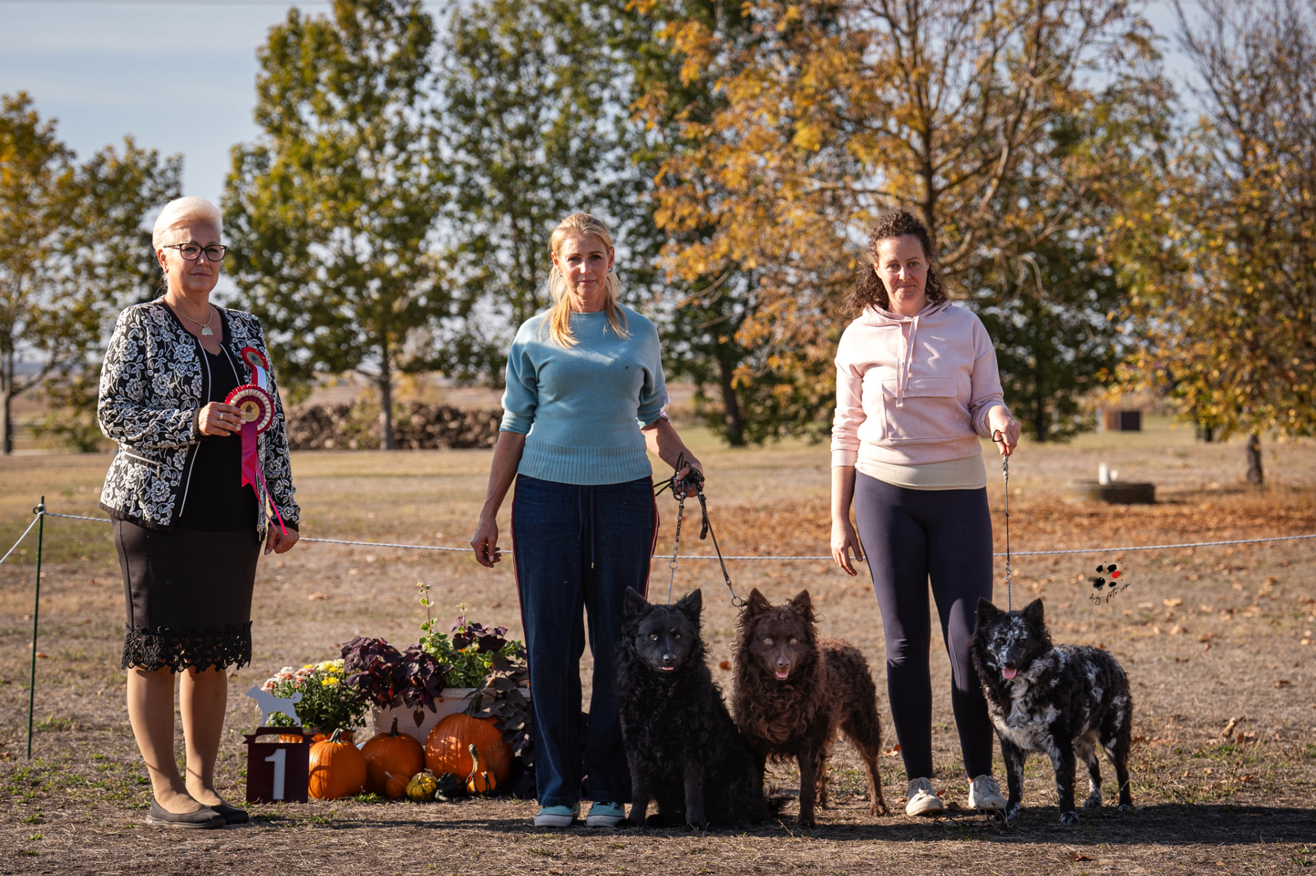 Tenyészcsoport I. hely Bonum et Malum kennel T.Kovács Amarilla